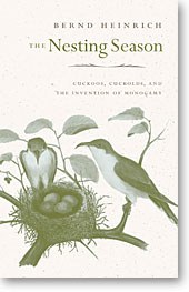 The Nesting Season pdf epub mobi 电子书 下载