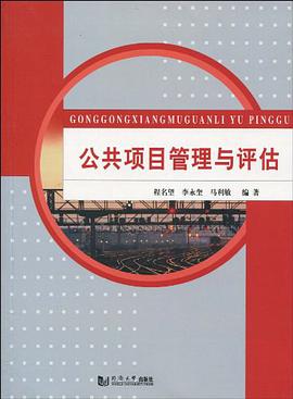 公共项目管理与评估 pdf epub mobi 下载