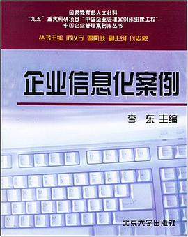企业信息化案例 pdf epub mobi 电子书 下载