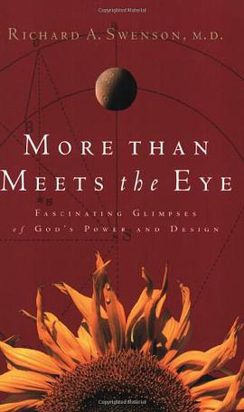 More Than Meets the Eye pdf epub mobi 下载