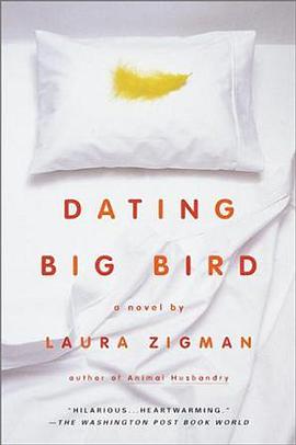 Dating Big Bird pdf epub mobi 电子书 下载