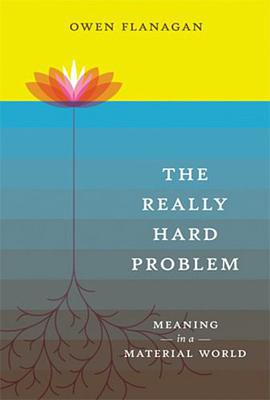 The Really Hard Problem pdf epub mobi 电子书 下载