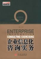 企業信息化谘詢實務 pdf epub mobi 電子書 下載