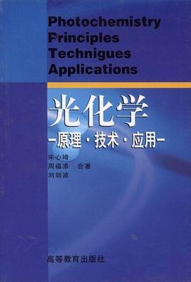 光化学 pdf epub mobi 电子书 下载