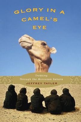 Glory in a Camel's Eye pdf epub mobi 电子书 下载