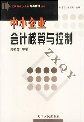 中小企业会计核算与控制