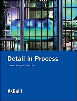 Detail in Process pdf epub mobi 电子书 下载