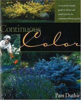 Continuous Color pdf epub mobi 电子书 下载