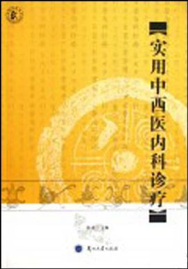 实用中西医内科诊疗 pdf epub mobi 下载