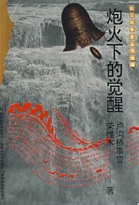 炮火下的觉醒 pdf epub mobi 电子书 下载