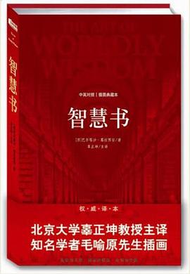 智慧书 pdf epub mobi 电子书 下载
