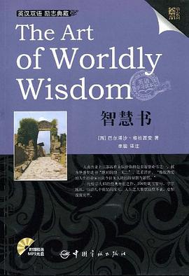 智慧书 pdf epub mobi 电子书 下载