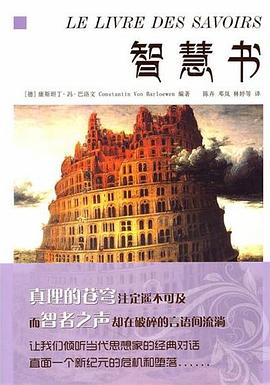 智慧书 pdf epub mobi 电子书 下载