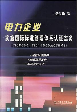 电力企业实施国际标准管理体系认证实务 pdf epub mobi 电子书 下载