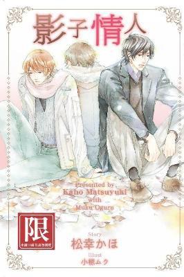 影子情人 pdf epub mobi 电子书 下载