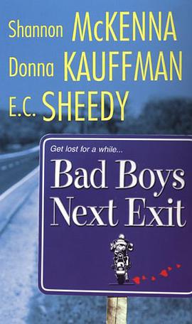 Bad Boys Next Exit pdf epub mobi 电子书 下载