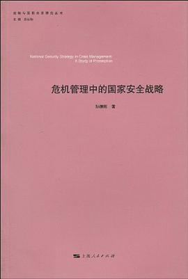 危机管理中的国家安全战略 pdf epub mobi 电子书 下载