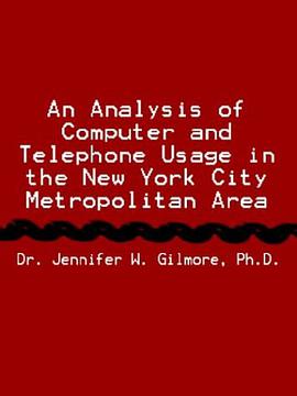 An Analysis of Computer and Telephone Usage in the New York City Metropolitan Area pdf epub mobi 电子书 下载