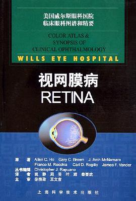 视网膜病 pdf epub mobi 电子书 下载