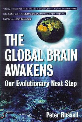 The Global Brain Awakens pdf epub mobi 电子书 下载