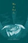 What the Birds See pdf epub mobi 电子书 下载