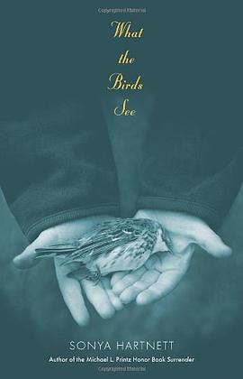 What the Birds See pdf epub mobi 电子书 下载