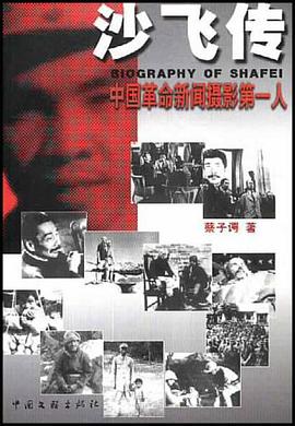 沙飞传 pdf epub mobi 电子书 下载