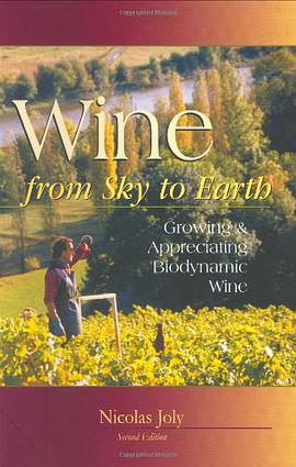 Wine from Sky to Earth pdf epub mobi 电子书 下载