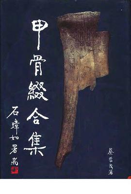 甲骨綴合集 pdf epub mobi 电子书 下载