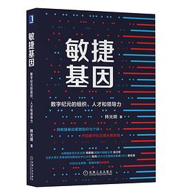 敏捷基因：数字纪元的组织、人才和领导力 pdf epub mobi 电子书 下载