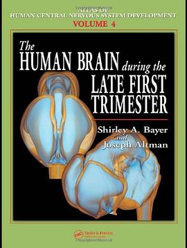 The Human Brain During the Late First Trimester pdf epub mobi 电子书 下载