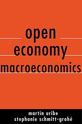 Open Economy Macroeconomics pdf epub mobi 电子书 下载