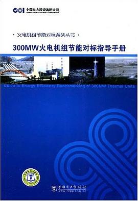 300MW火电机组节能对标指导手册 pdf epub mobi 电子书 下载