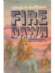 Fire Dawn: A Novel pdf epub mobi 电子书 下载