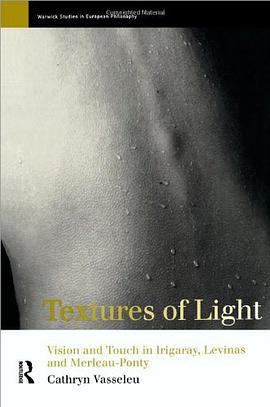 Textures of Light pdf epub mobi 电子书 下载