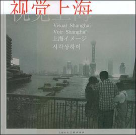 视觉上海 pdf epub mobi 电子书 下载