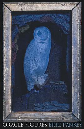 Oracle Figures pdf epub mobi 電子書 下載