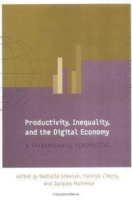 Productivity, Inequality, and the Digital Economy pdf epub mobi 电子书 下载