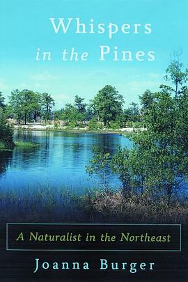 Whispers in the Pines