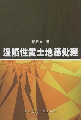 湿陷性黄土地基处理 pdf epub mobi 电子书 下载