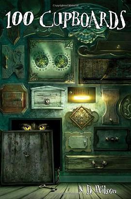 100 Cupboards pdf epub mobi 电子书 下载