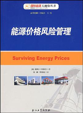 能源价格风险管理 pdf epub mobi 电子书 下载