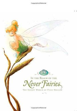In the Realm of the Never Fairies pdf epub mobi 电子书 下载