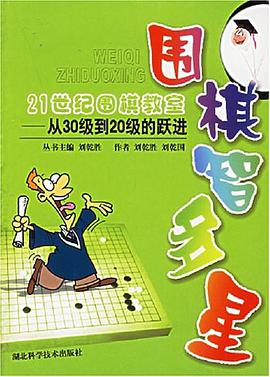 从30级到20级的跃进 pdf epub mobi 电子书 下载