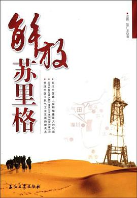 解放苏里格 pdf epub mobi 电子书 下载