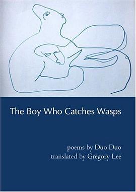 The Boy Who Catches Wasps pdf epub mobi 电子书 下载