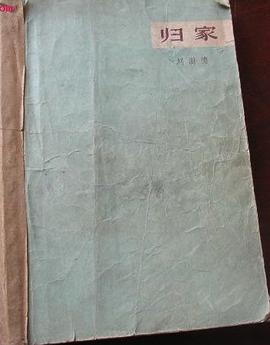 归家 pdf epub mobi 电子书 下载