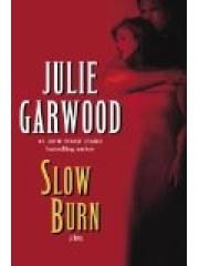 Slow Burn pdf epub mobi 电子书 下载