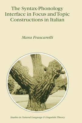 The Syntax-Phonology Interface in Focus and Topic Constructions pdf epub mobi 电子书 下载