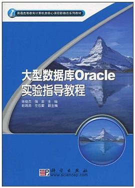 大型数据库Oracle实验指导教程 pdf epub mobi 电子书 下载